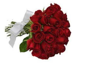 Captura de tela 2025-12-23 125305 Buquê de 24 Rosas Vermelhas - Imagem 1