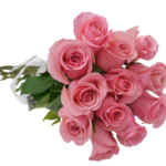 Buquê de 12 Rosas Cor de Rosa