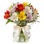 Mini Astromélias Coloridas no Vaso