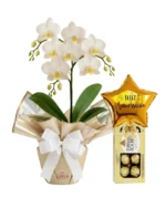 Orquídea Mimo e Balão Com Chocolate - Imagem 3