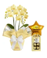 Orquídea Mimo e Balão Com Chocolate