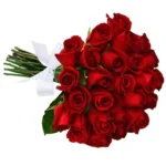 BUQUÊ DE 24 ROSAS VERMELHAS
