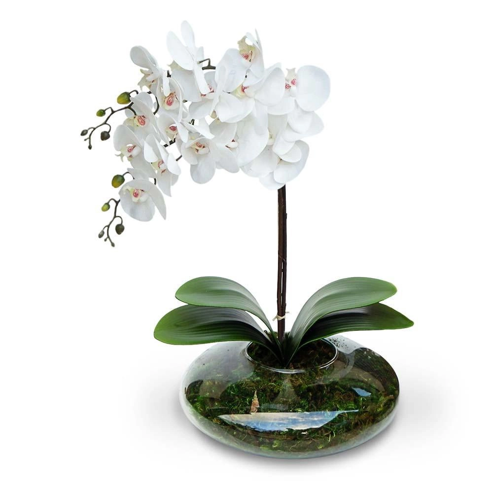 5193253610_1.webp Arranjo De Flores 2 Orquídeas No Vaso De Vidro - Imagem 1