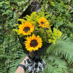 Girassol Black